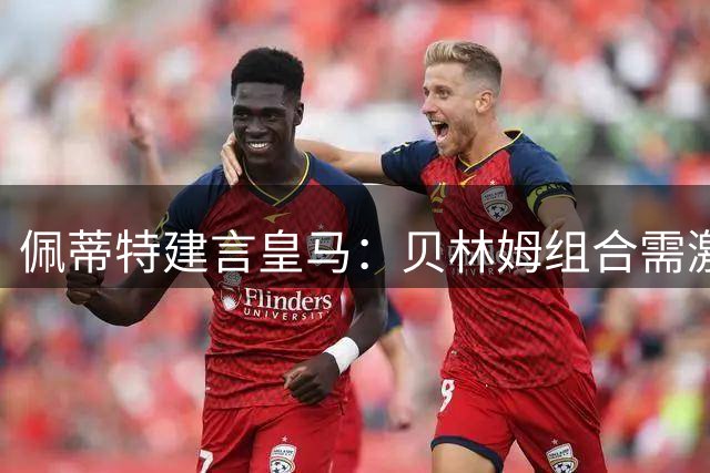 佩蒂特建言皇马：贝林姆组合需激活 团队足球才是取胜之匙