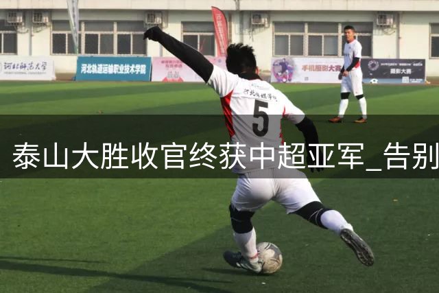 泰山大胜收官终获中超亚军 告别费莱尼致敬传奇
