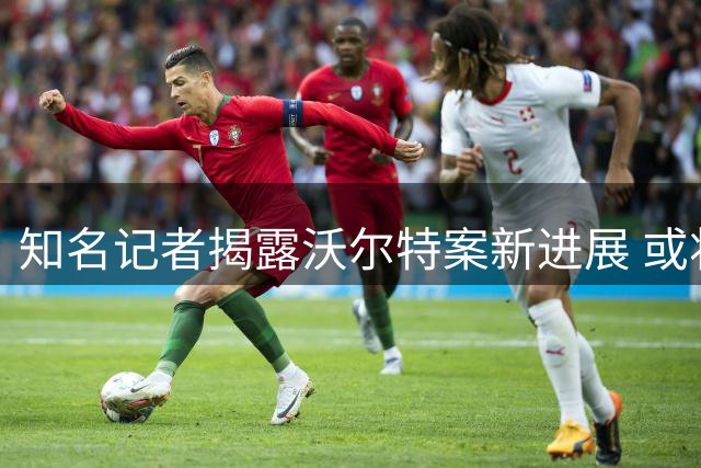 知名记者揭露沃尔特案新进展 或将面临牢狱之灾