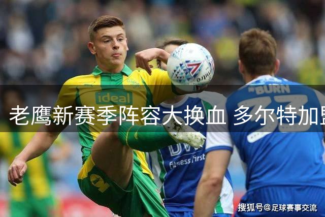 老鹰新赛季阵容大换血 多尔特加盟能否助球队起飞？